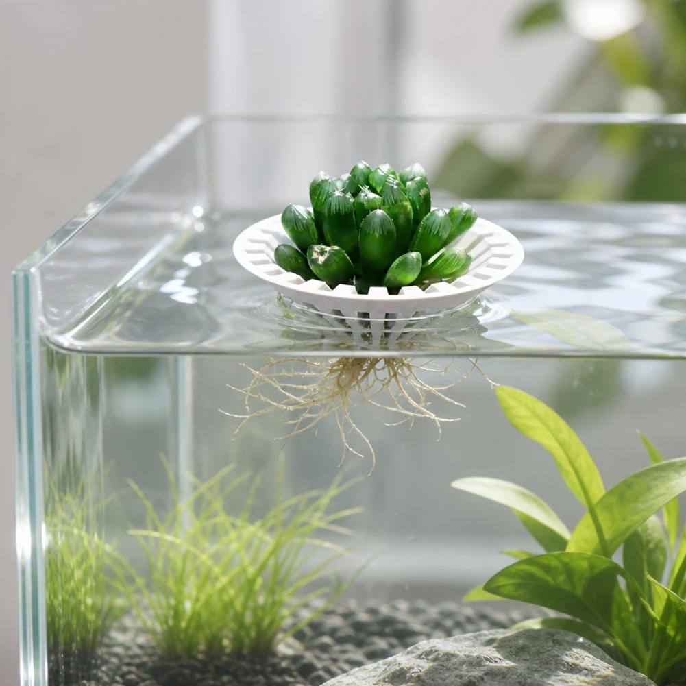 Aquarium Plant Holder - Akwarium Hydroponiczne, Płynące Uchwyt na Rośliny