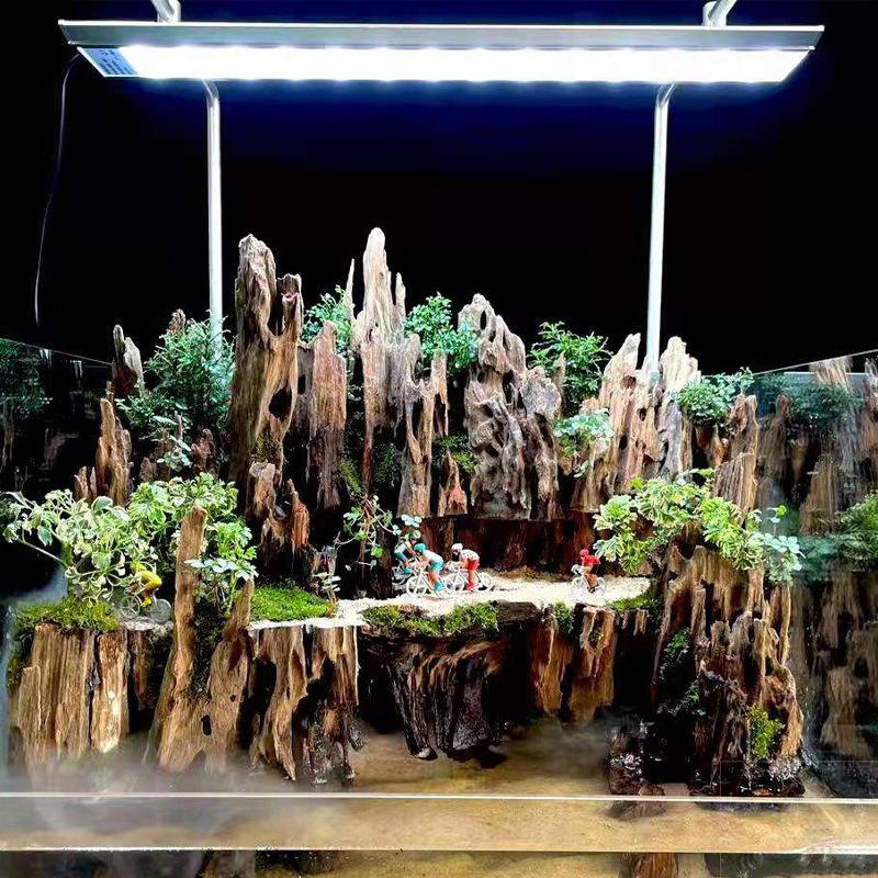 Aquarium Driftwood - Dekoracja akwariowa z drewna na krewetki,