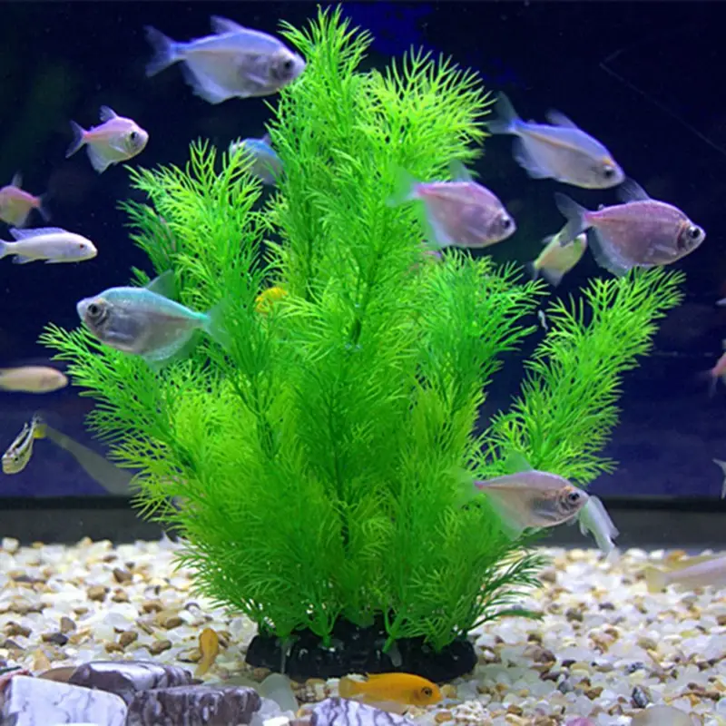 Aquarium Plants Live - Sztuczne rośliny akwariowe Podwodna trawa wodna