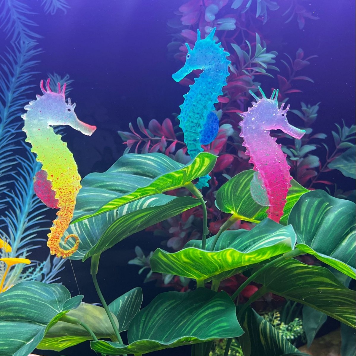 Aquarium Plant Substrate - Imitacja świecącego konika morskiego jako dekoracji