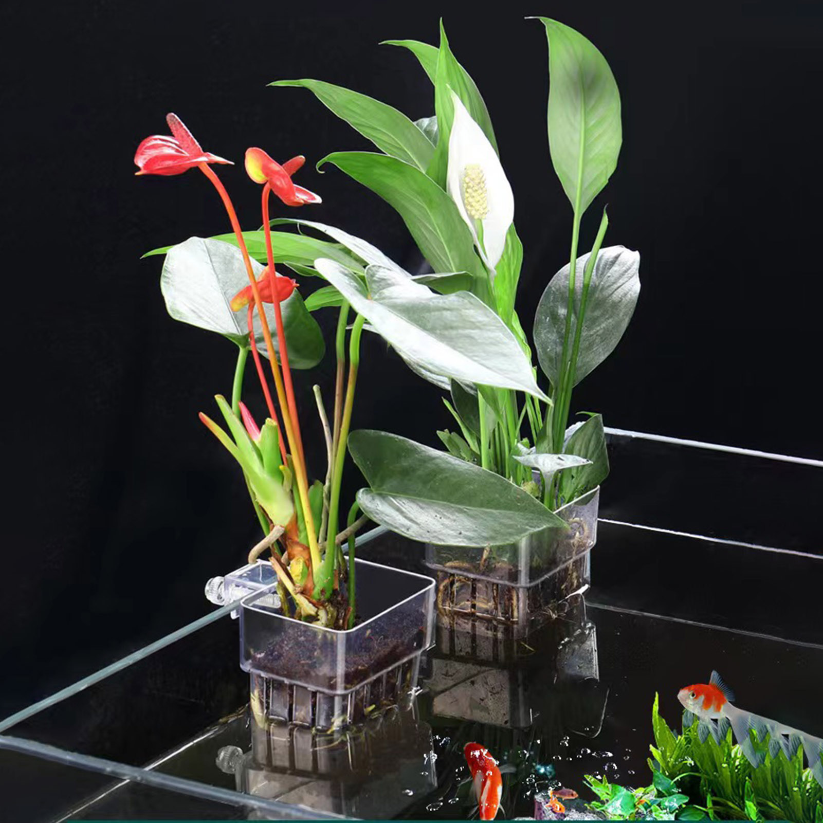 Aquarium Plant Holder - Przezroczysty, akrylowy pojemnik na rośliny, idealny