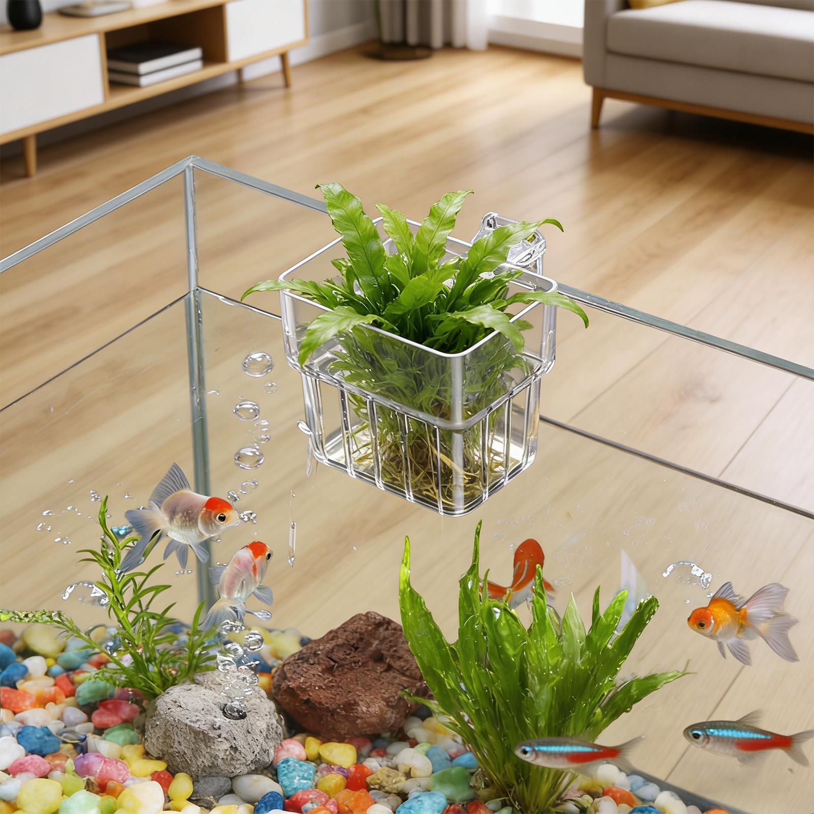 Aquarium Plant Holder - Przezroczysty wiszący pojemnik na rośliny do