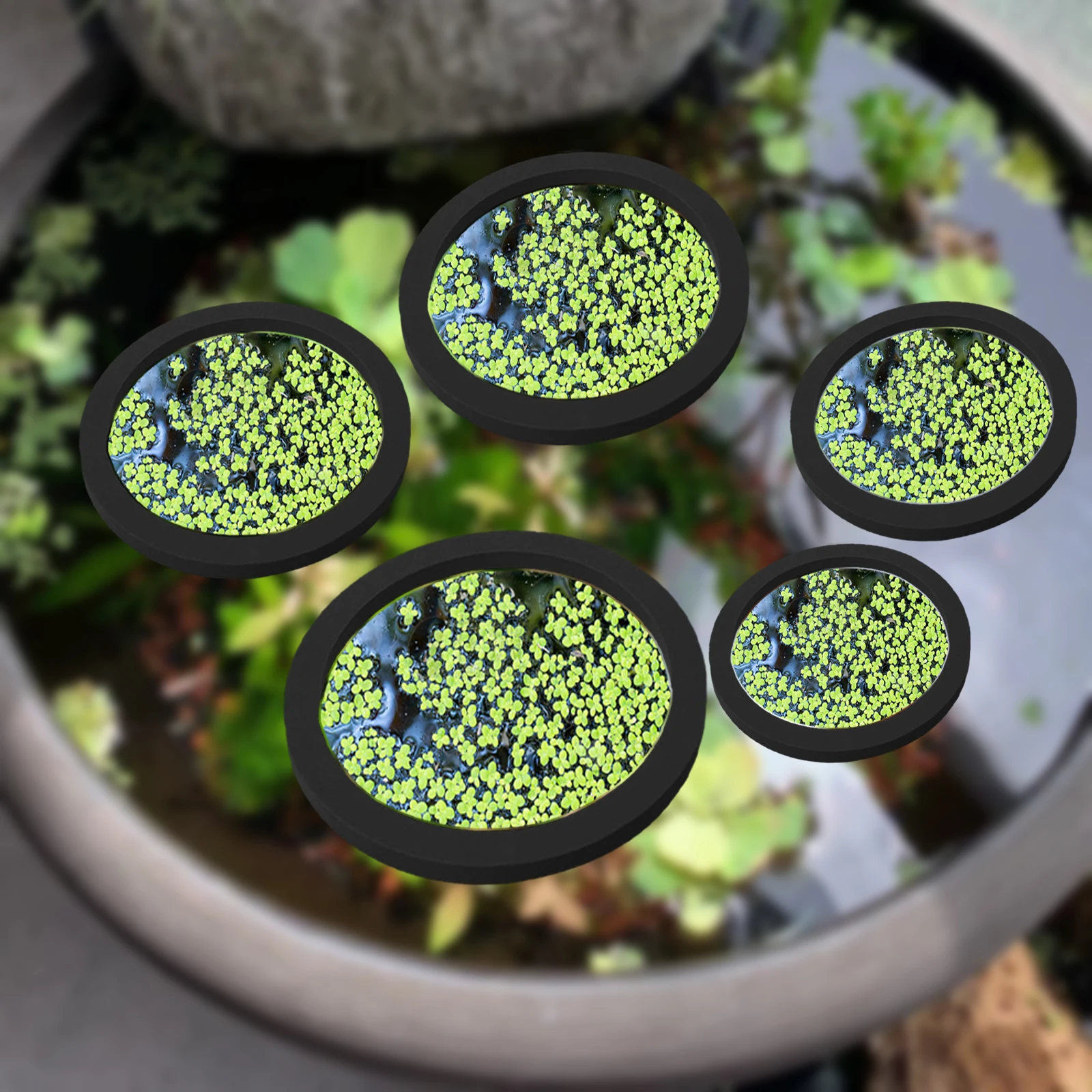 Planted Tank - 5Pcs EVA Pierścień do karmienia ryb