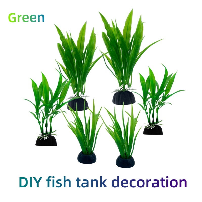 Aquarium Plants Live - 6 paczek rośliny akwariowe, dekoracja akwarium