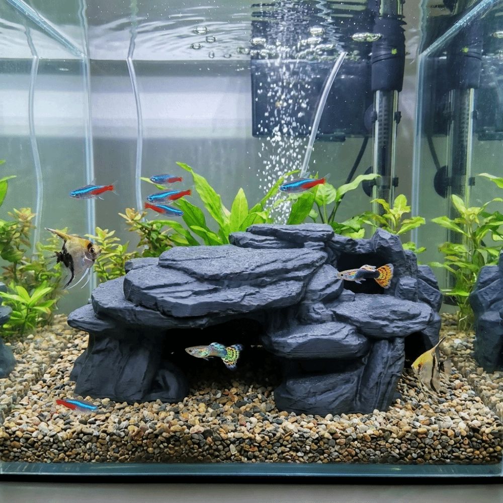 Ozdoby do akwarium z nadrukiem – Aquarium Driftwood recenzja i cena