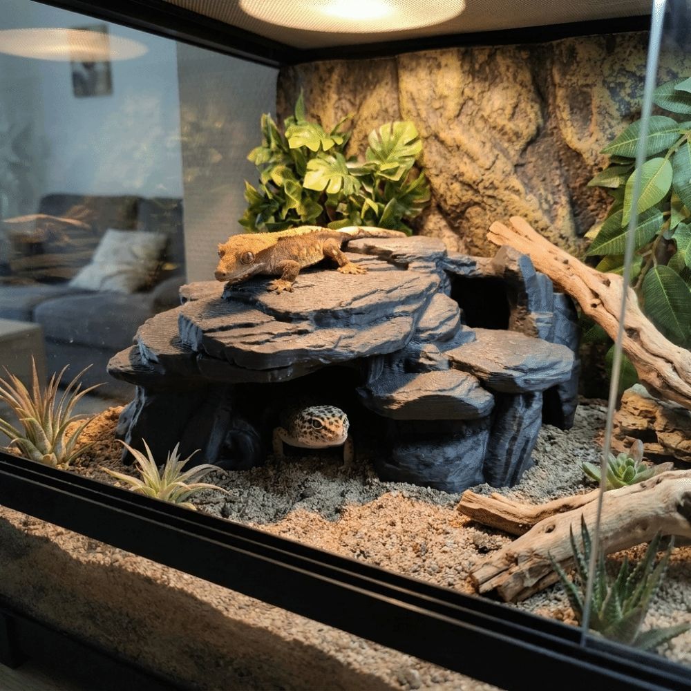 Ozdoby do akwarium z nadrukiem – Aquarium Driftwood recenzja i cena