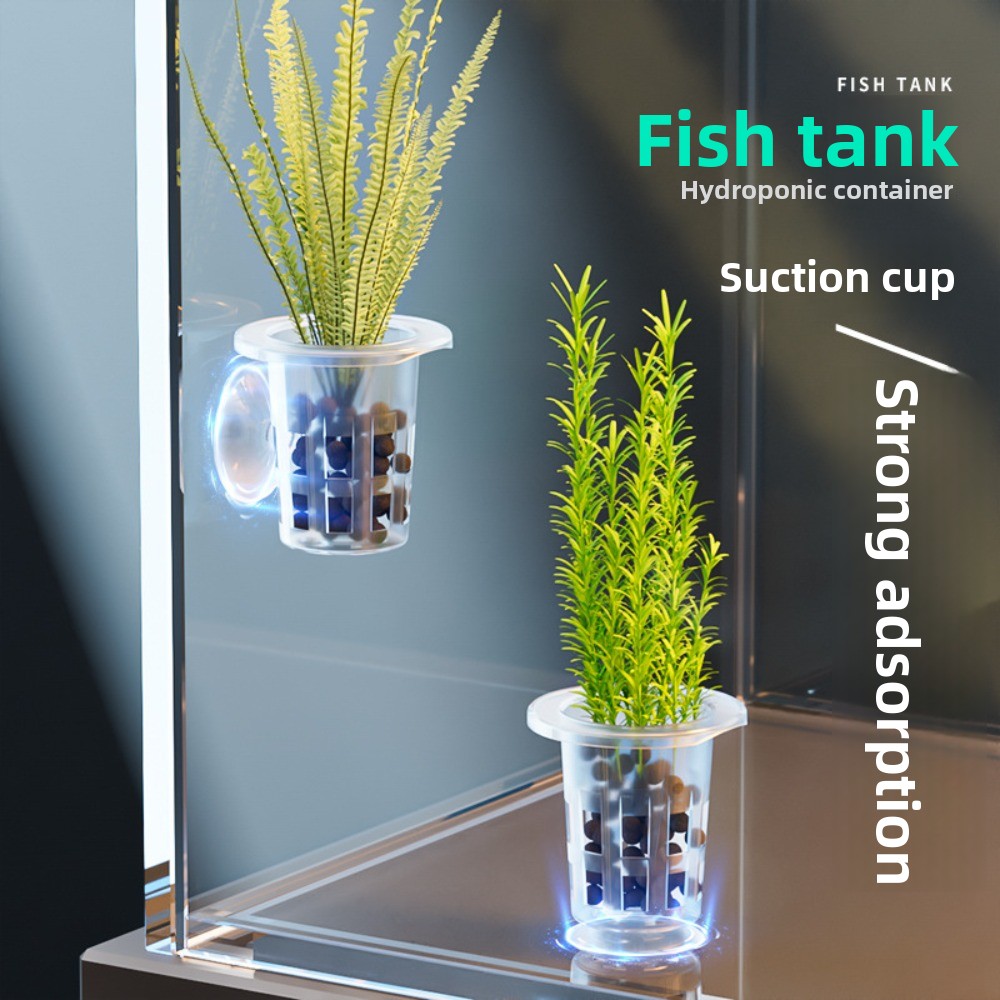 10 szt. Przezroczyste doniczki – Aquarium Plants Live recenzja i cena