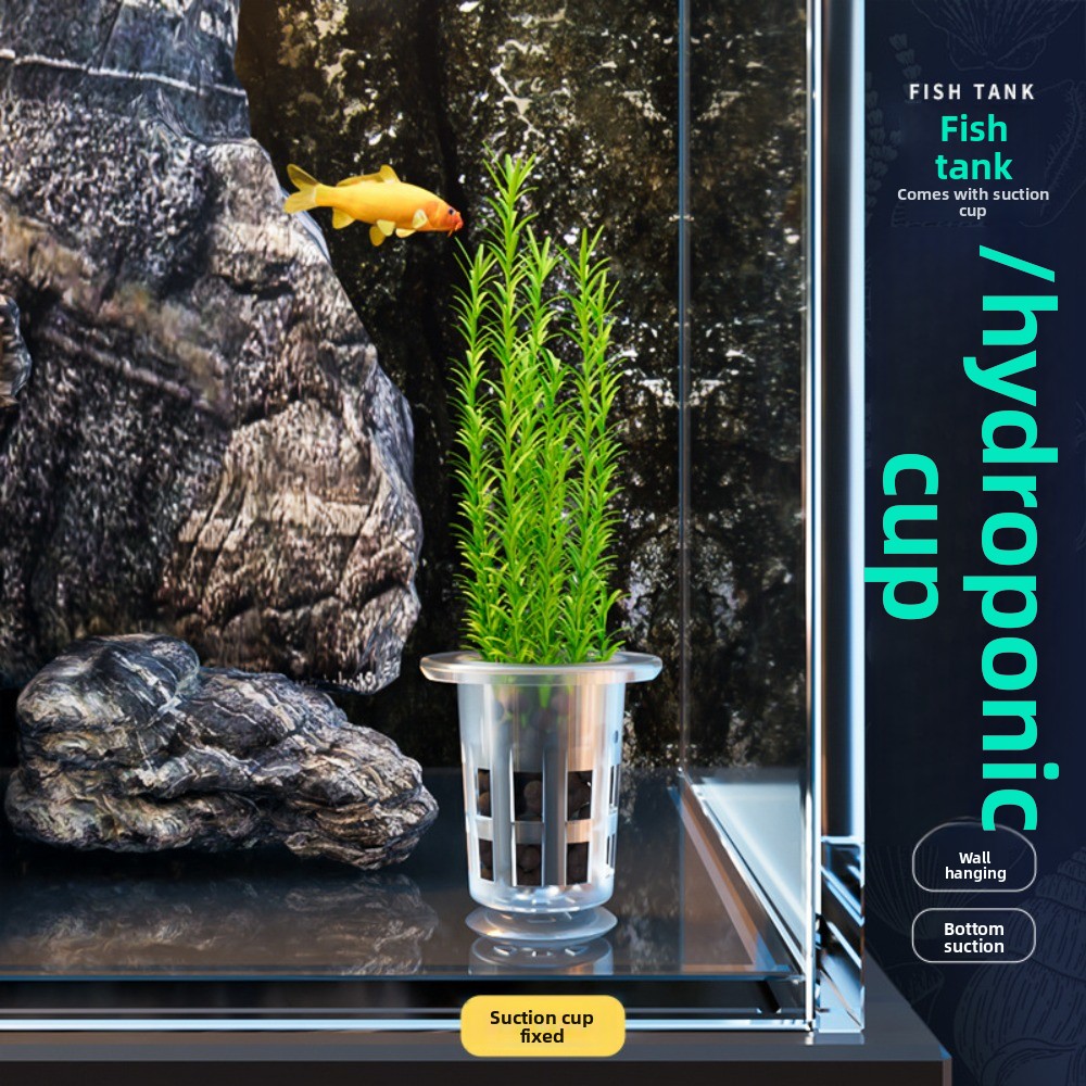 10 szt. Przezroczyste doniczki – Aquarium Plants Live recenzja i cena