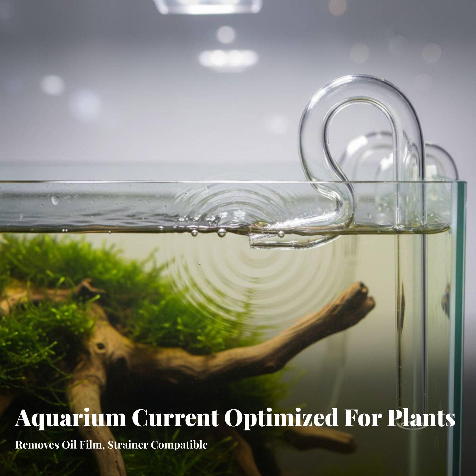 Szklany wylotowy skimmer Lily  – Aquarium Planted Tank Filter recenzja i cena