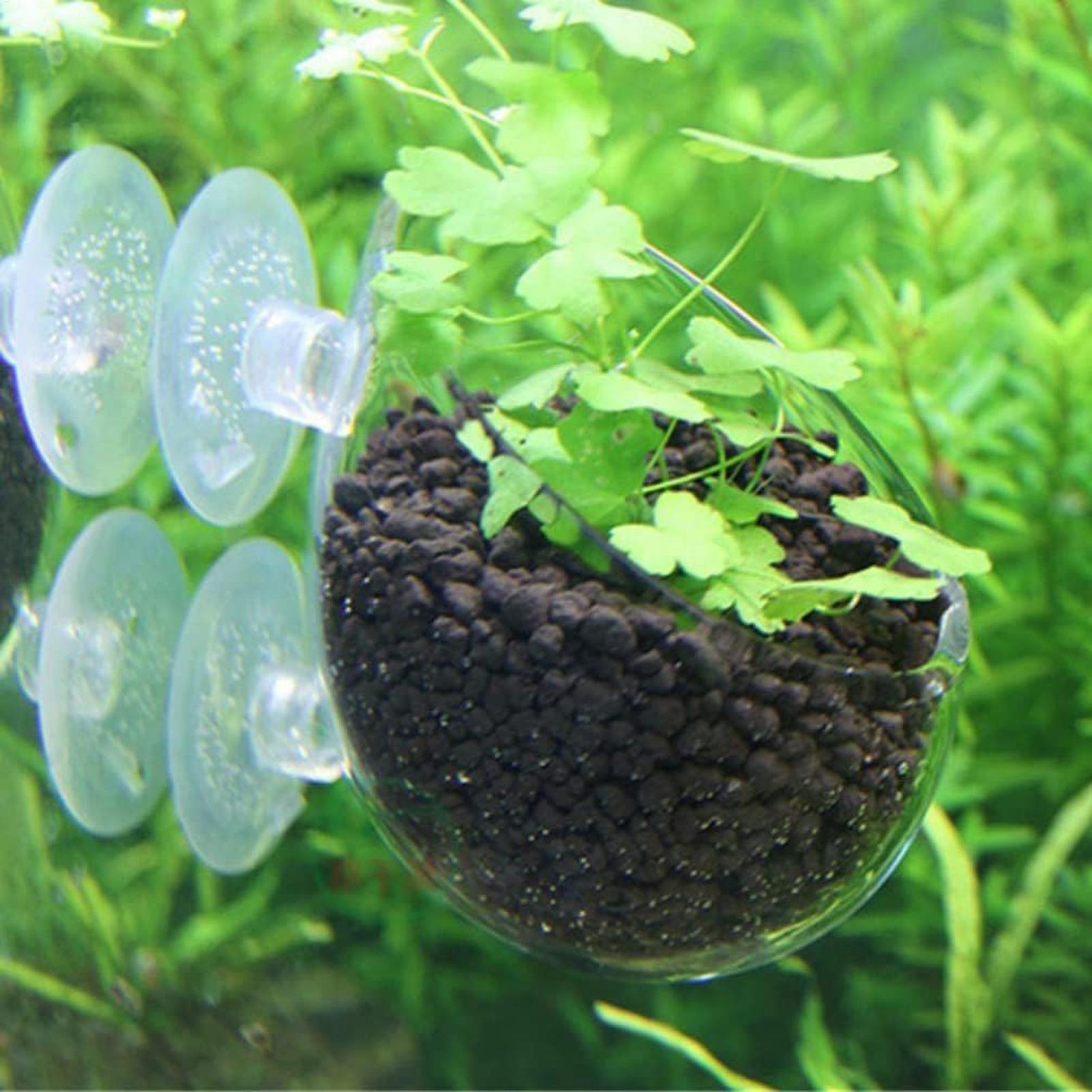 Szklany uchwyt na rośliny akwa – Aquarium Plants Live recenzja i cena
