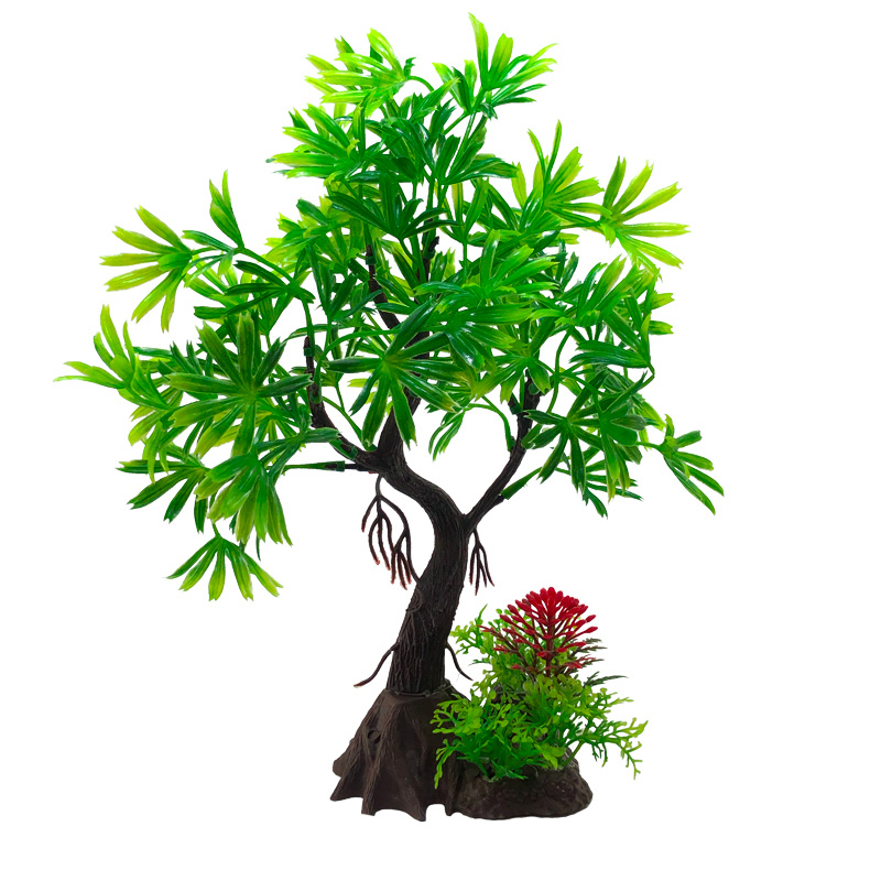 Rośliny dekoracyjne do akwariu – Live Plant Aquarium recenzja i cena