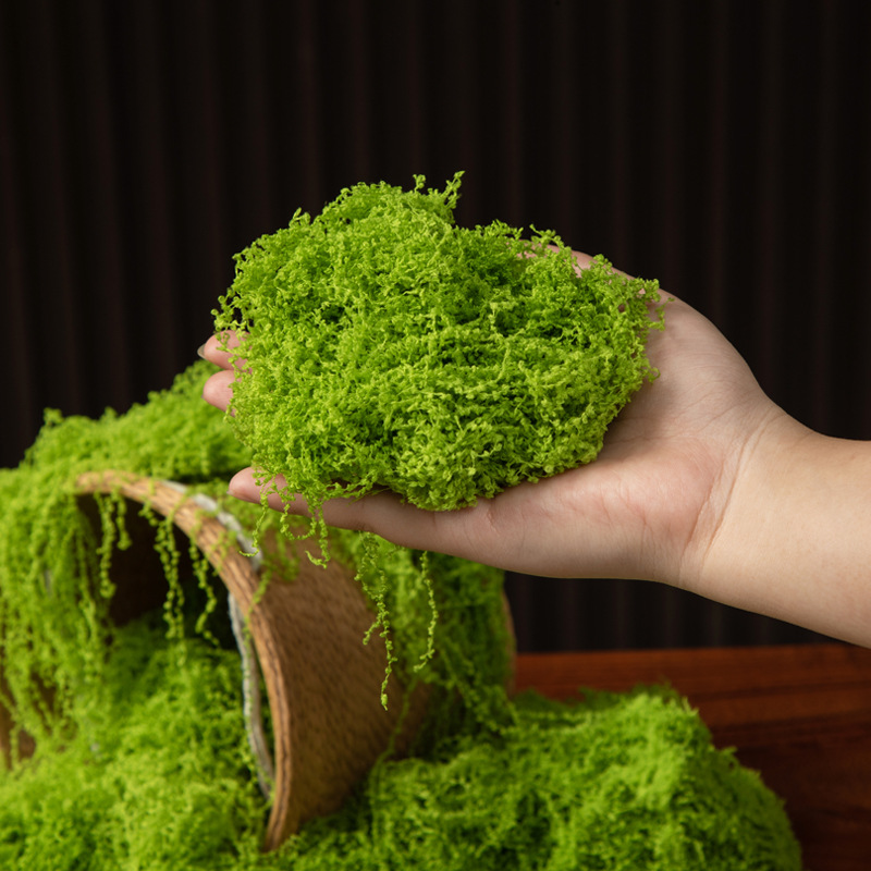 200g Mech Wiecznego Życia DIY  – Aquarium Moss recenzja i cena