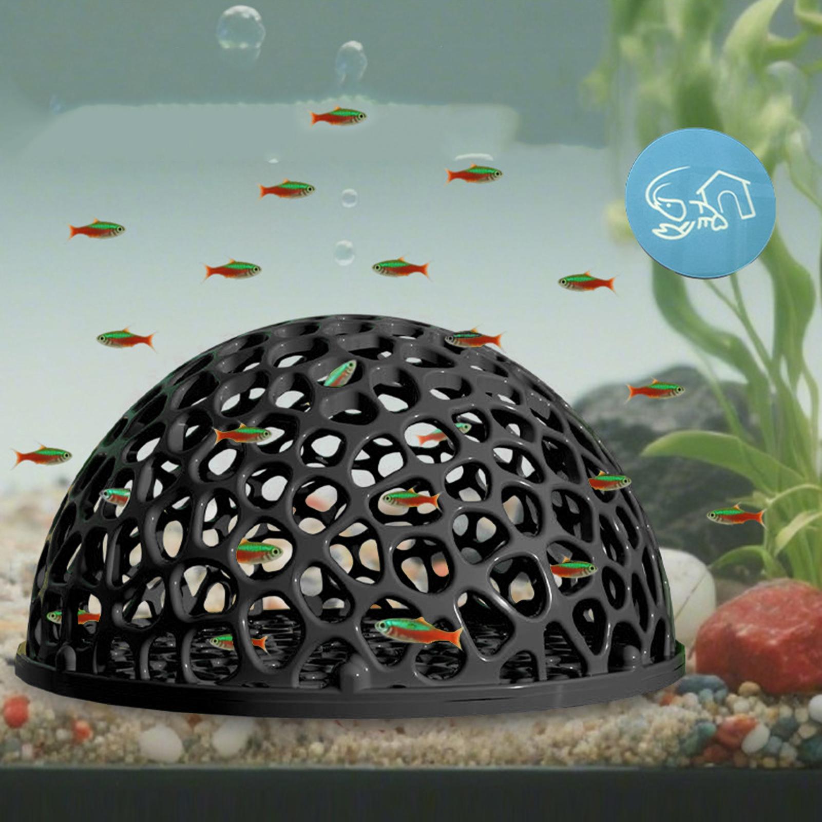 Akwarium Ukryte Gniazdo Jaskin – Aquarium Plants Live recenzja i cena