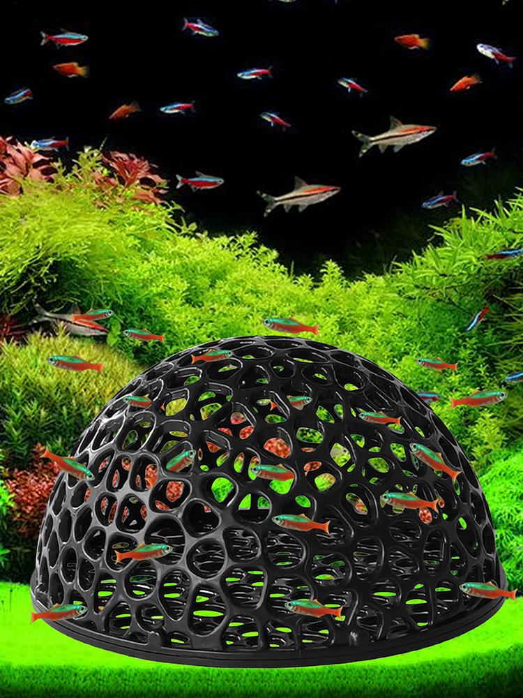 Akwarium Ukryte Gniazdo Jaskin – Aquarium Plants Live recenzja i cena
