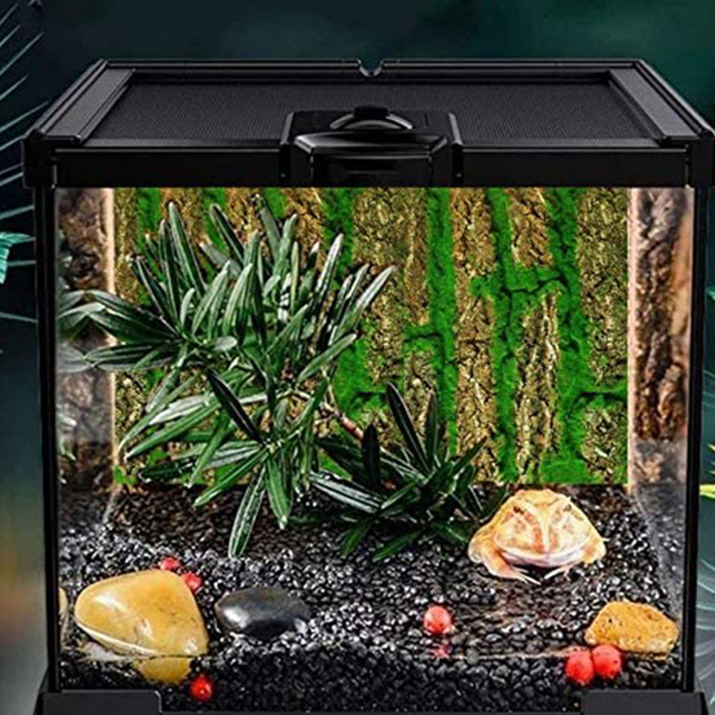 Trójwymiarowa tło do akwarium, – Aquarium Moss recenzja i cena
