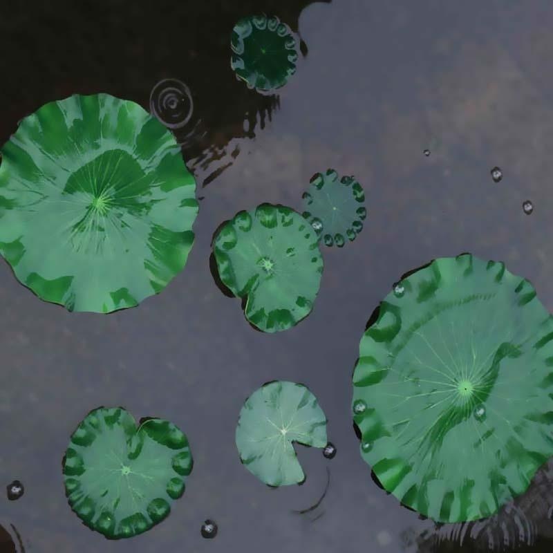 Sztuczne liście lotosu bez kwi – Aquarium Moss recenzja i cena