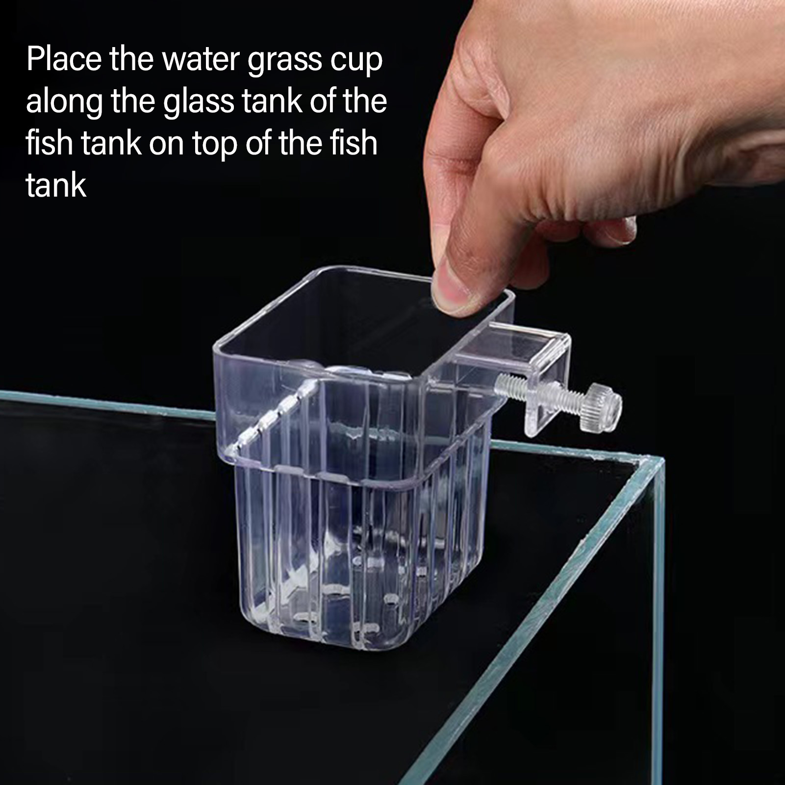 Przezroczysty, akrylowy pojemn – Aquarium Plant Holder recenzja i cena