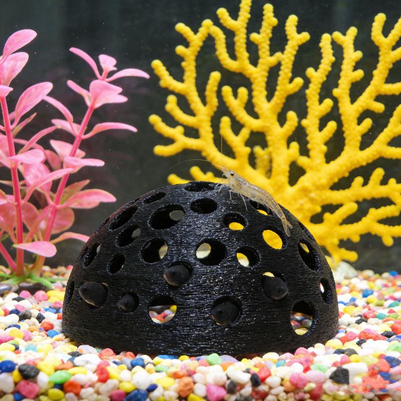 Akwarium Ukryta Jaskinia Schro – Aquarium Plants Live recenzja i cena