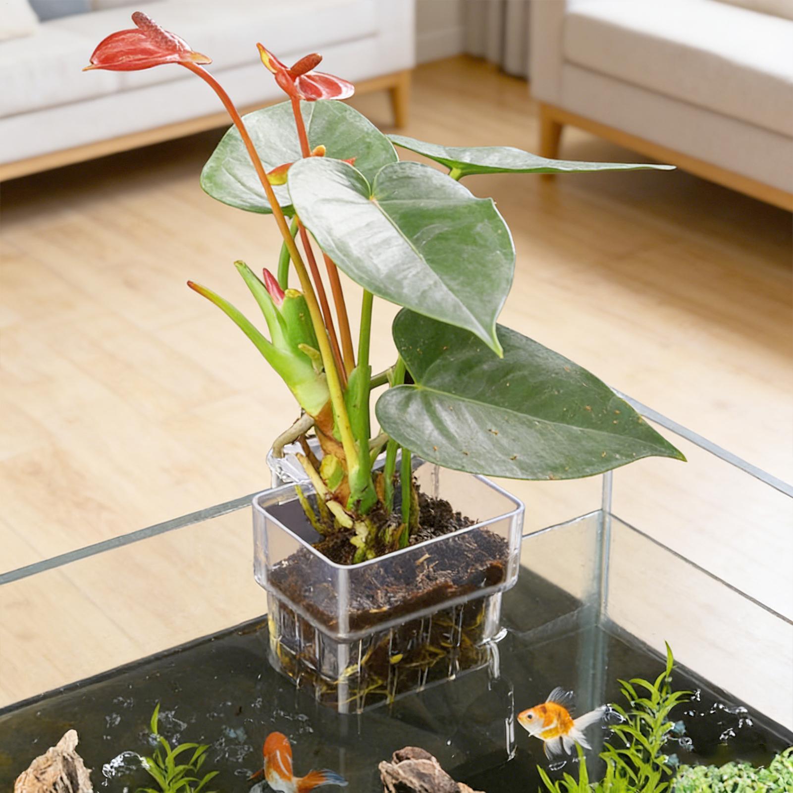 Przezroczysty wiszący pojemnik – Aquarium Plant Holder recenzja i cena