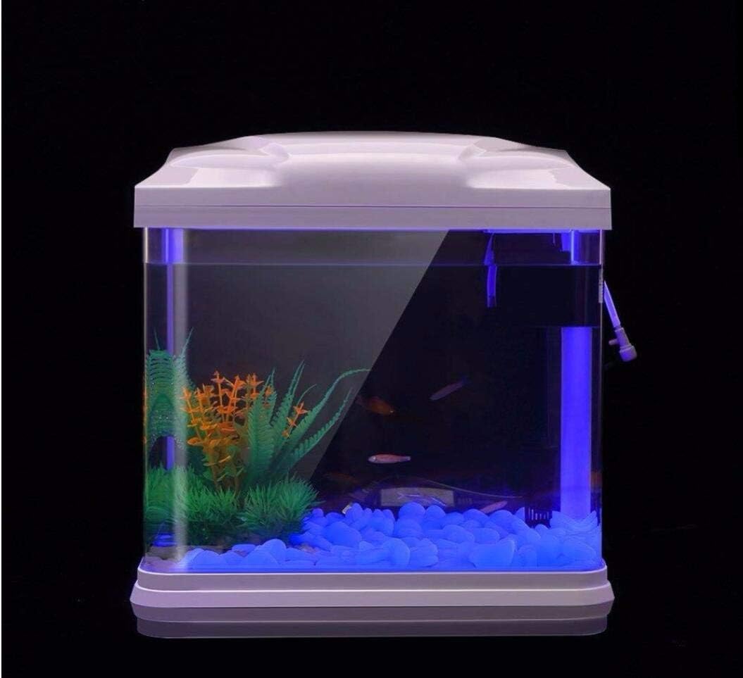 Fish Tank Rocks Glow Blue Pebb – Plant Aquarium Pot recenzja i cena