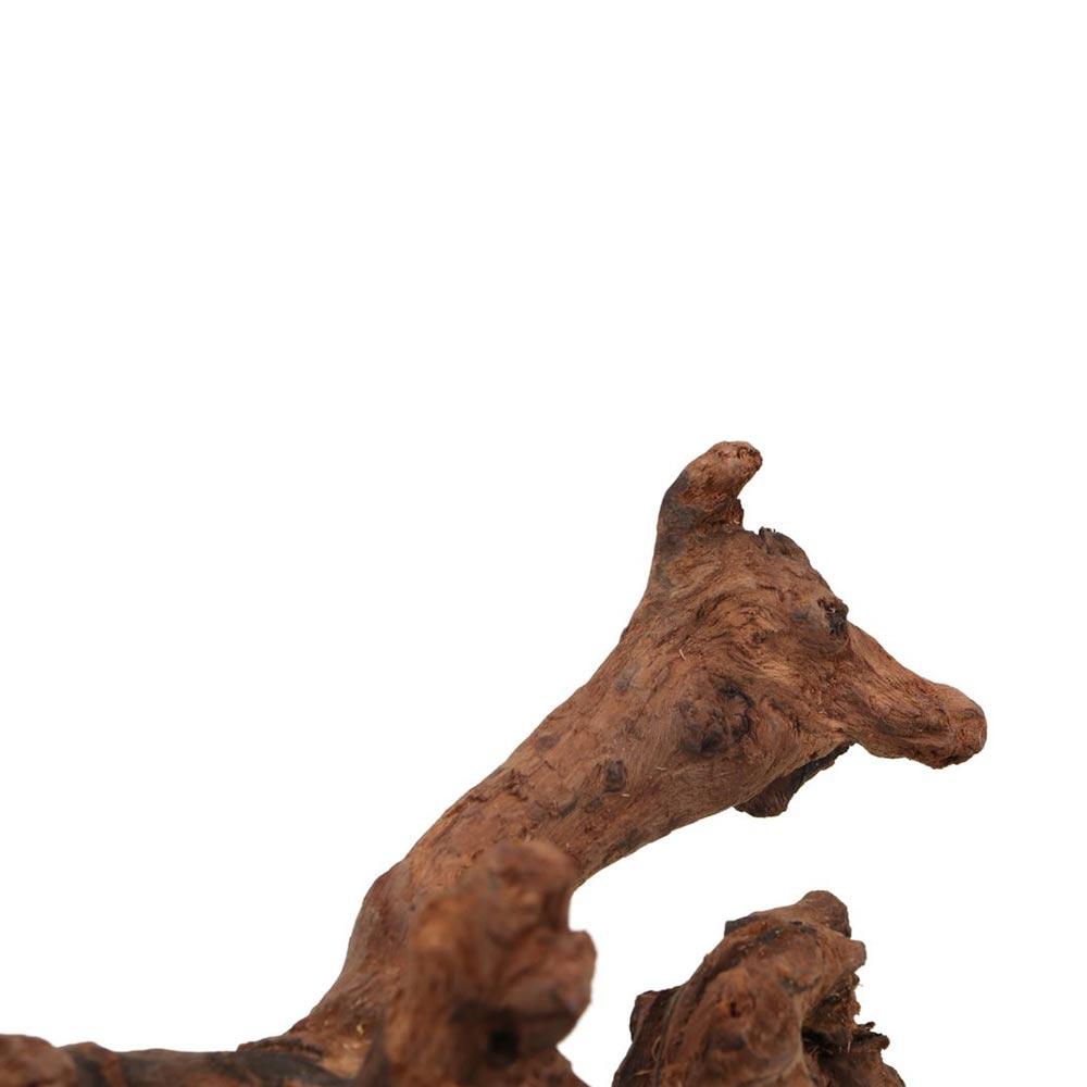 Kreatywne, nieregularne kształ – Aquarium Driftwood recenzja i cena
