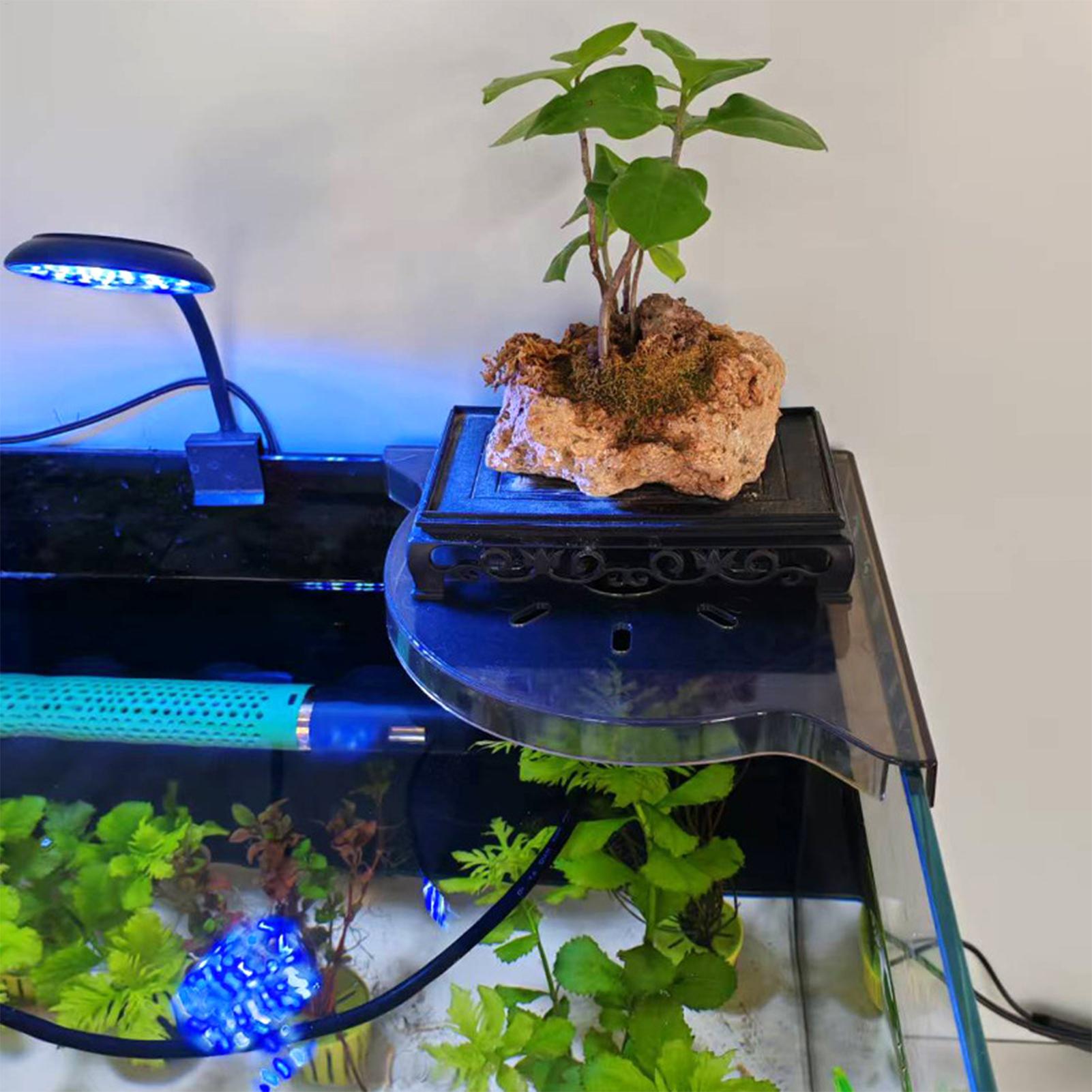 Trójkątny narożny regał do akw – Aquarium Plants Live recenzja i cena