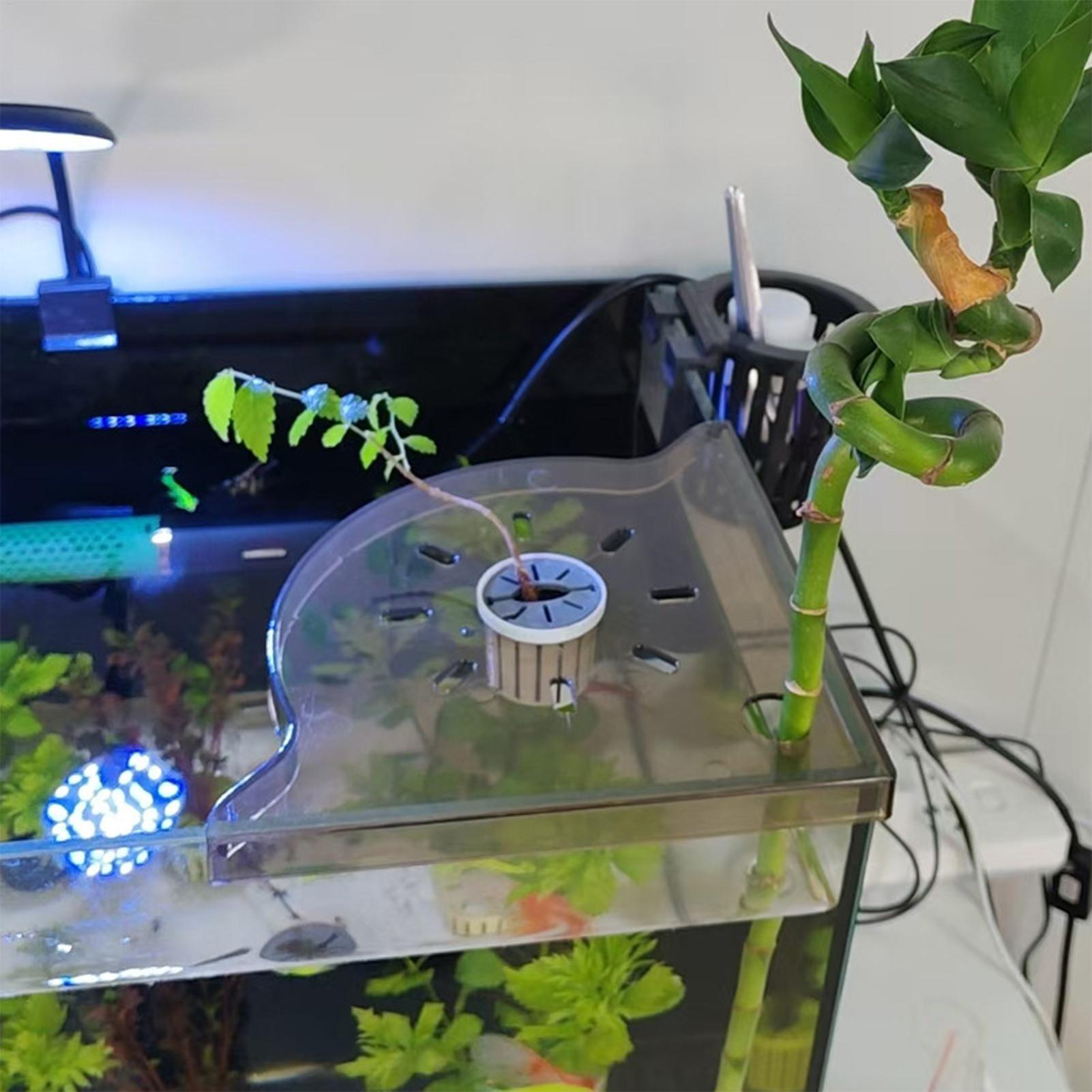 Trójkątny narożny regał do akw – Aquarium Plants Live recenzja i cena