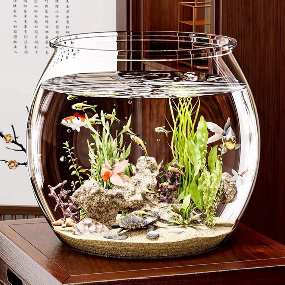 Okrągła, przezroczysta plastik – Plant Aquarium Pot recenzja i cena