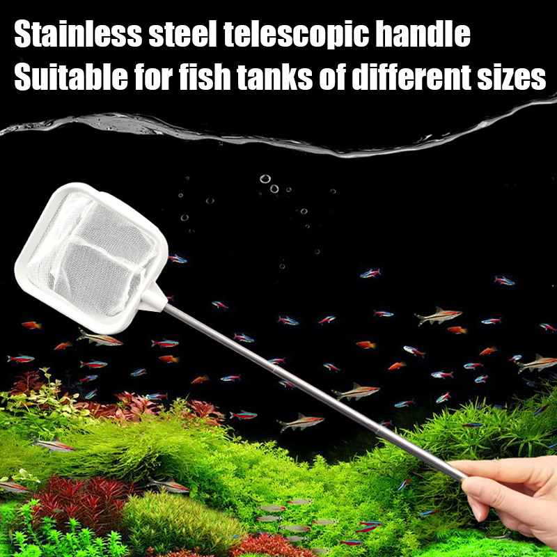 1 szt. Teleskopowa siatka do ł – Planted Aquarium Cleaning recenzja i cena