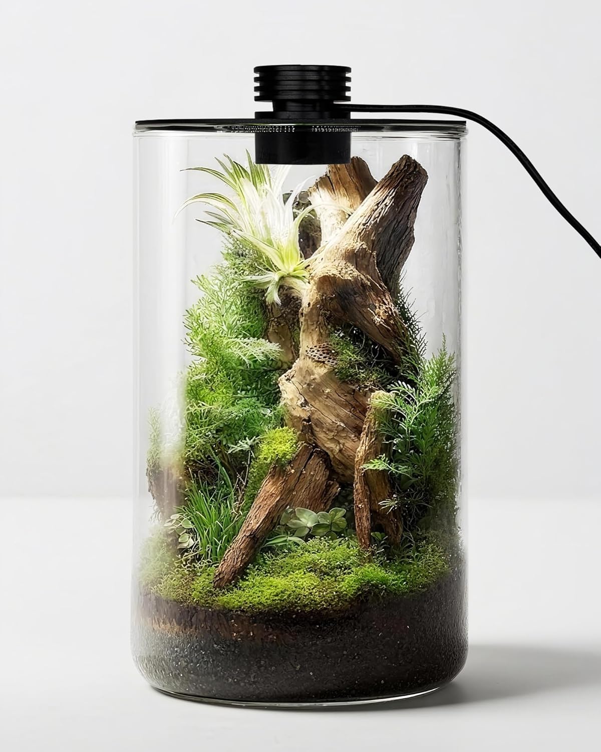 Szklane terrarium wewnętrzne z – Planted Tank recenzja i cena