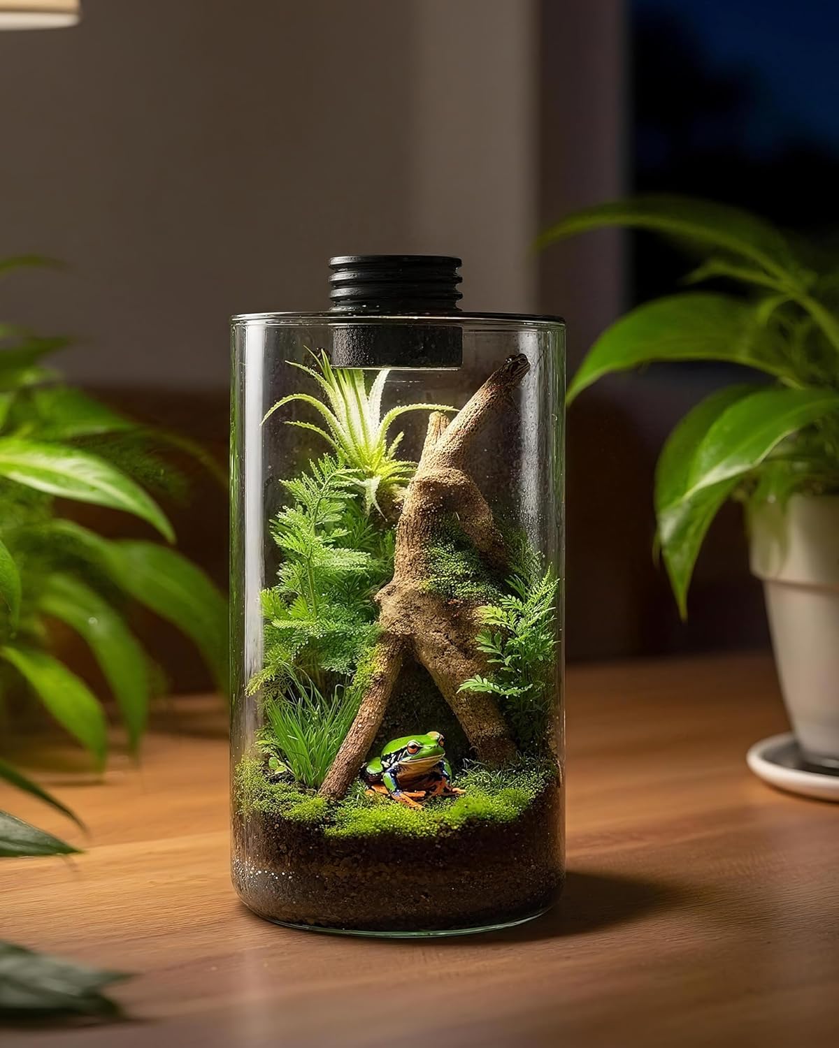 Szklane terrarium wewnętrzne z – Planted Tank recenzja i cena