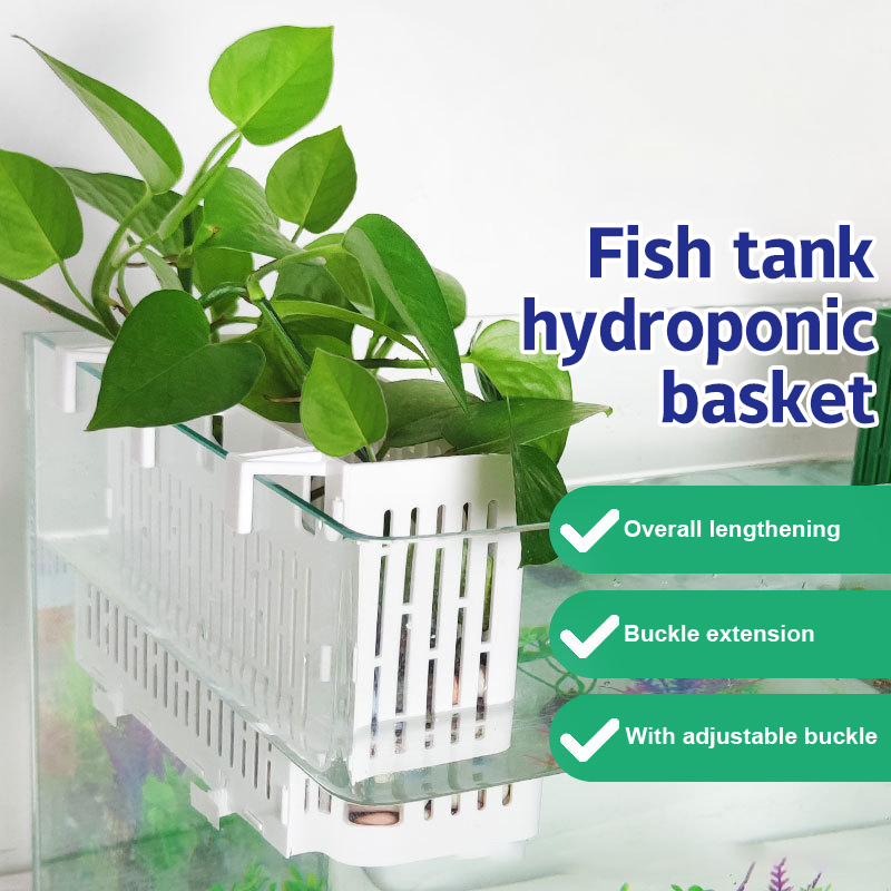 【F】Wiszący pojemnik do akwariu – Aquarium Plant Holder recenzja i cena