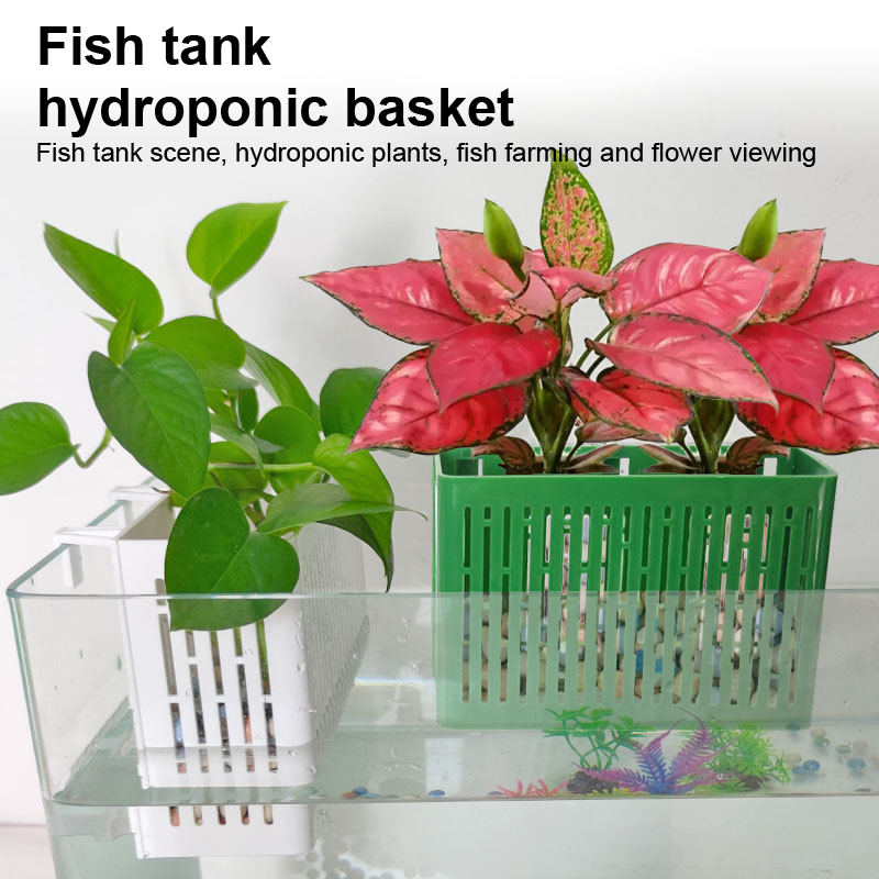 【F】Wiszący pojemnik do akwariu – Aquarium Plant Holder recenzja i cena