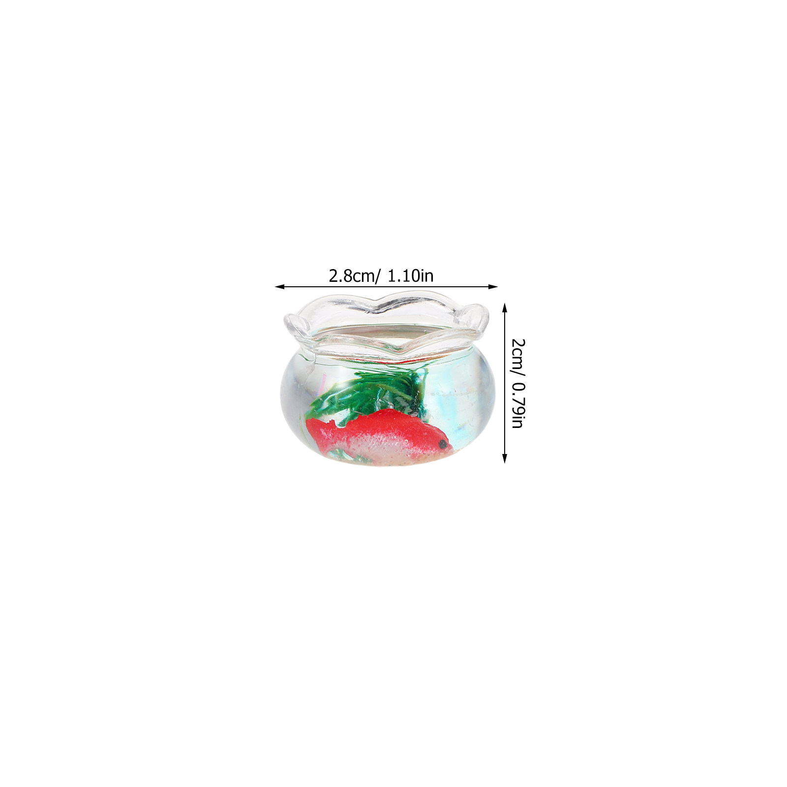5 szt. Mini miska na ryby, rea – Planted Tank recenzja i cena