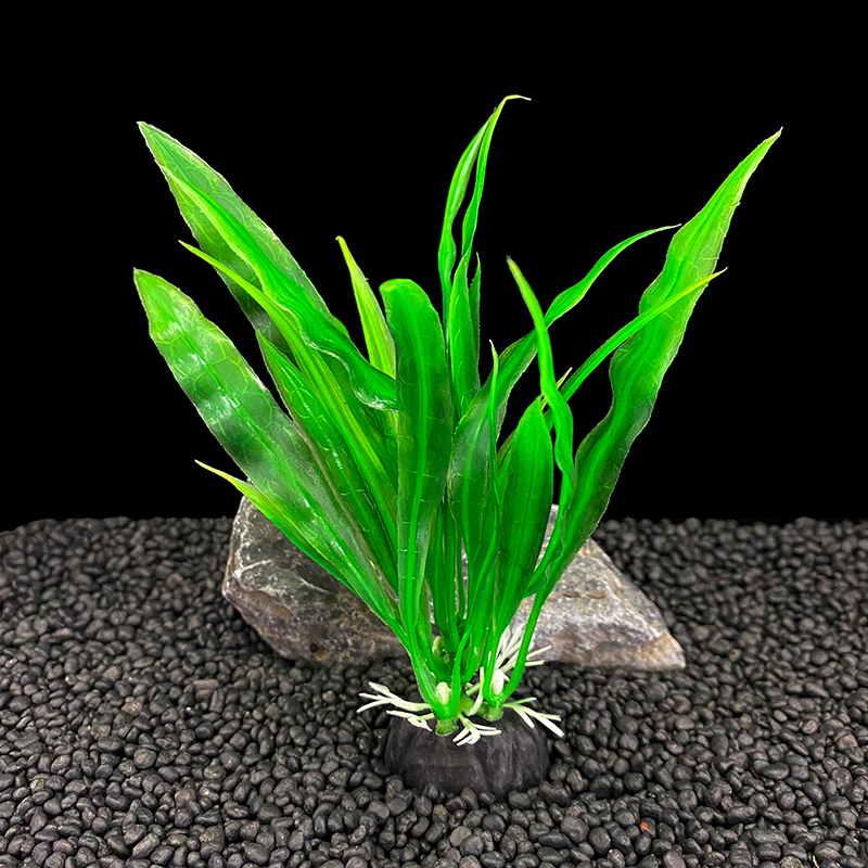 6 paczek rośliny akwariowe, de – Aquarium Plants Live recenzja i cena