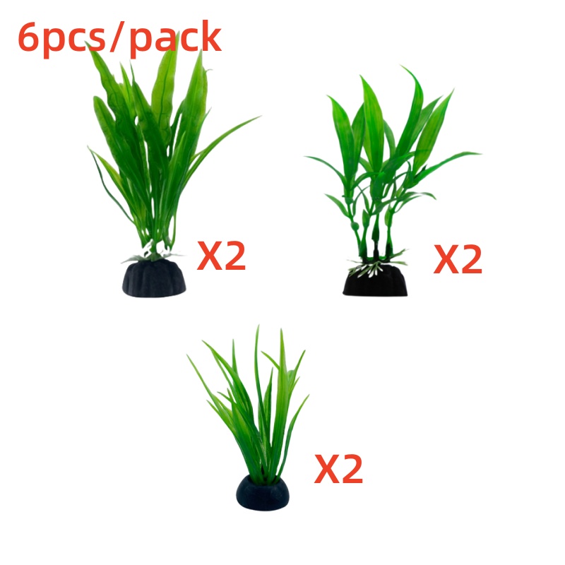 6 paczek rośliny akwariowe, de – Aquarium Plants Live recenzja i cena